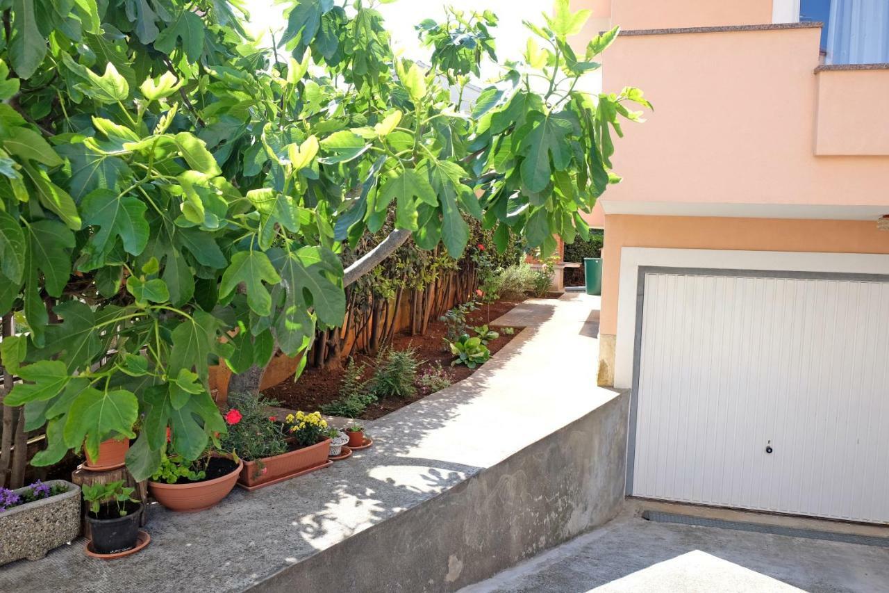 Apartmani Stipe Zadar Ngoại thất bức ảnh